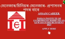 Assam Career Indian Institute of Entrepreneurship (IIE) in Guwahati Recruitment 2023