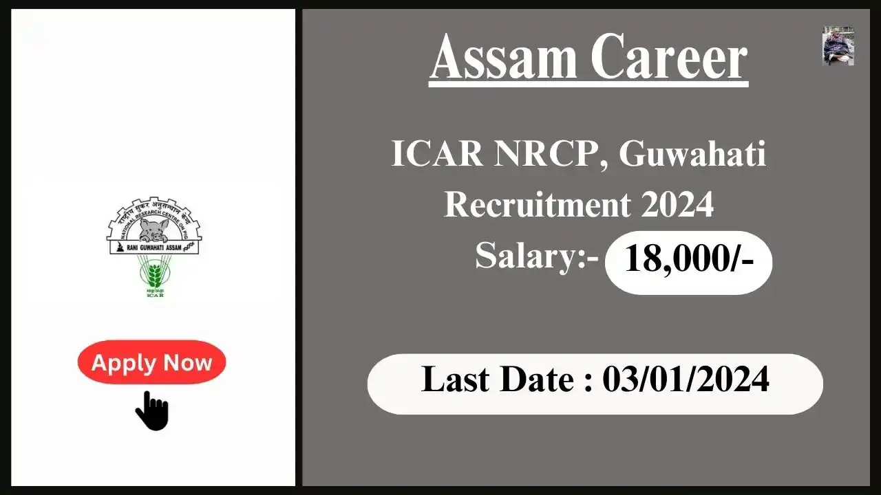 Assam Career 2024 : ICAR NRCP, Guwahati, Assam Recruitment 2024