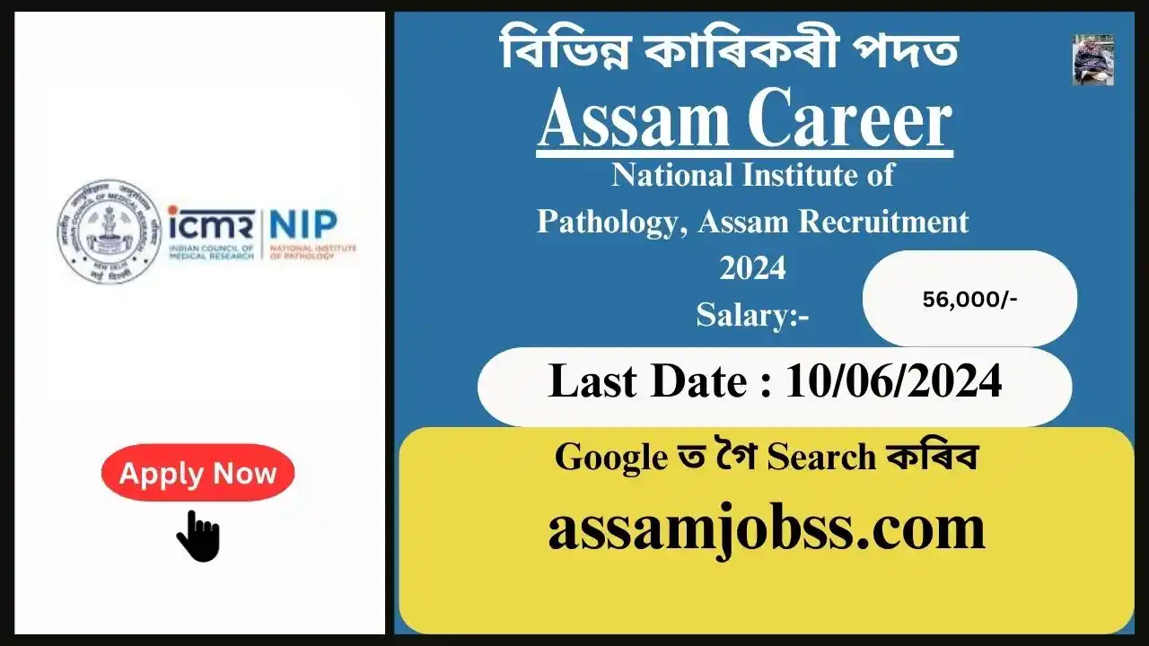 Assam Career : National Institute of Pathology, Assam Recruitment 2024-Check Post, Age Limit, Tenure, Eligibility Criteria, Salary and How to Apply