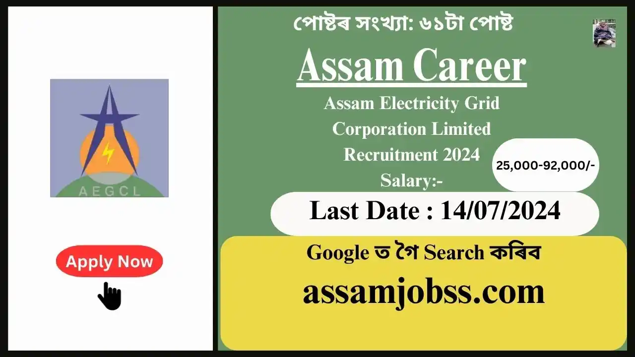 Assam Career : Assam Electricity Grid Corporation Limited (AEGCL) Recruitment 2024-Check Post, Age Limit, Tenure, Eligibility Criteria, Salary and How to Apply